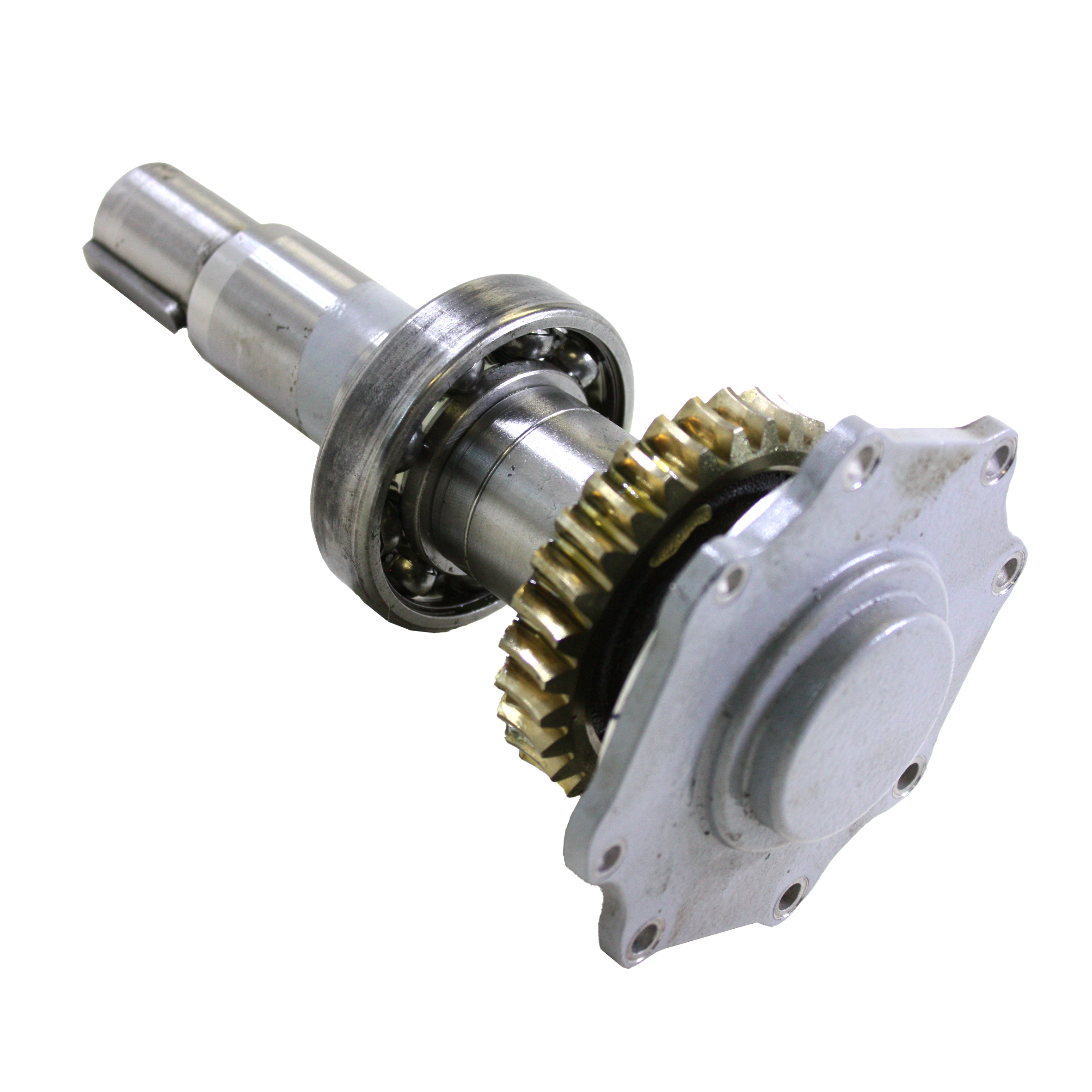 CY-280: WORM GEAR with SHAFT AND BEARING